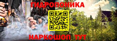хмурый Новозыбков