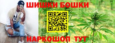 хмурый Новозыбков