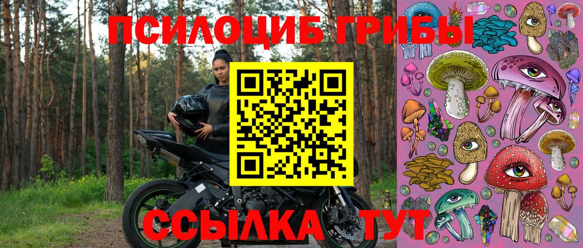 Псилоцибиновые грибы мицелий  Вход с VPN  Рыбинск 